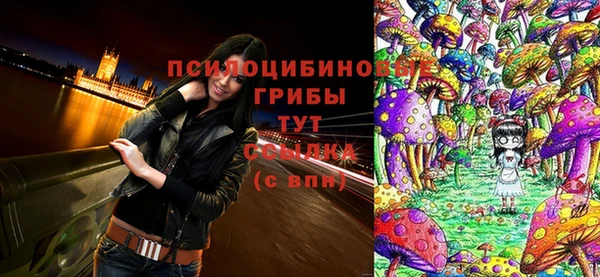 тгк Алексеевка