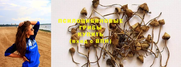 MESCALINE Абаза